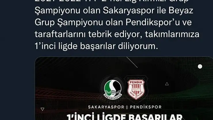 Cumhurbaşkanı Erdoğan Sakaryaspor'u tebrik etti