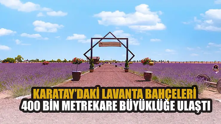 Karatay'daki lavanta bahçeleri 400 bin metrekare büyüklüğe ulaştı