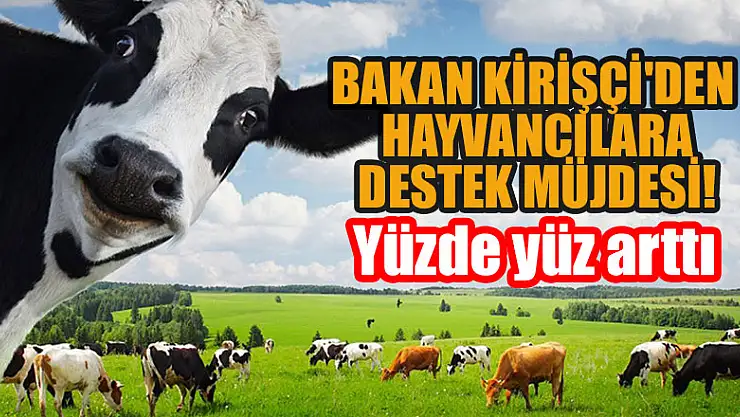 Bakan Kirişçi'den hayvancılara destek müjdesi: Yüzde yüz arttı