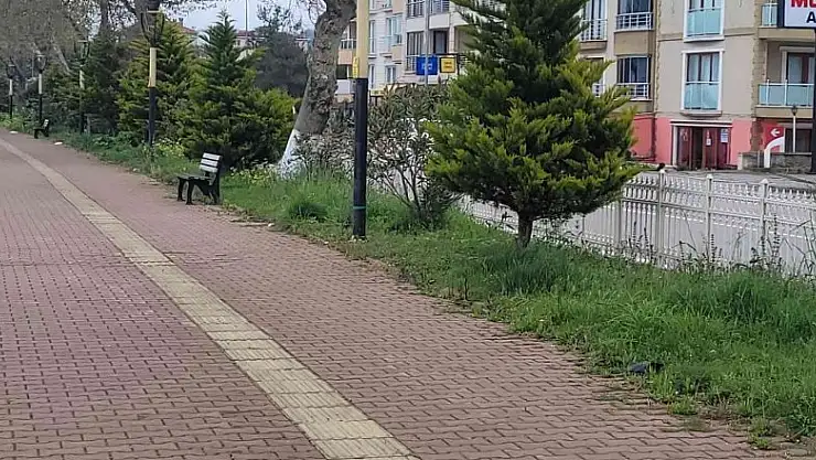 Tartıştığı şahsı pompalı tüfekle yaraladı