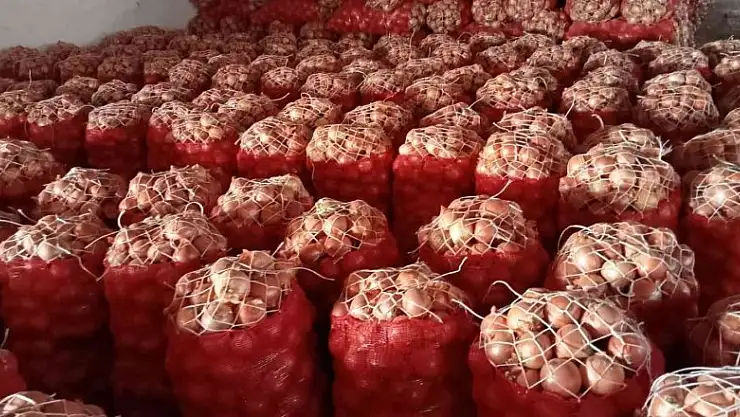 Nisan ayında en çok kuru soğan pahalandı