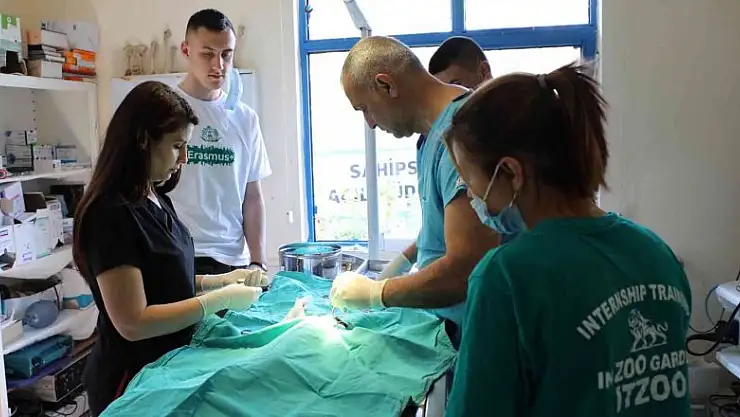 Makedon öğrenciler Antalya Hayvanat Bahçesi'nde eğitim alıyor