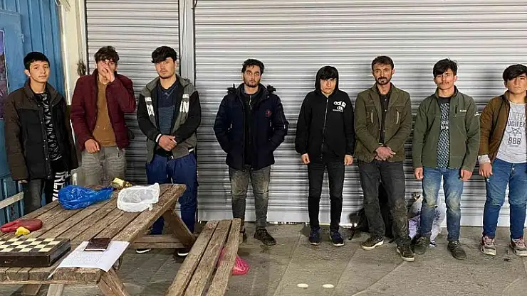 Ağrı'da samanların arasında 8 düzensiz göçmen yakalandı