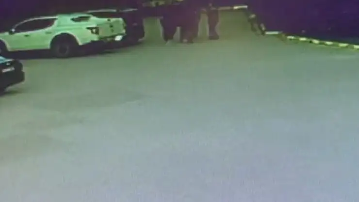 Eski milletvekili ağabeyine kurşun yağdırdı