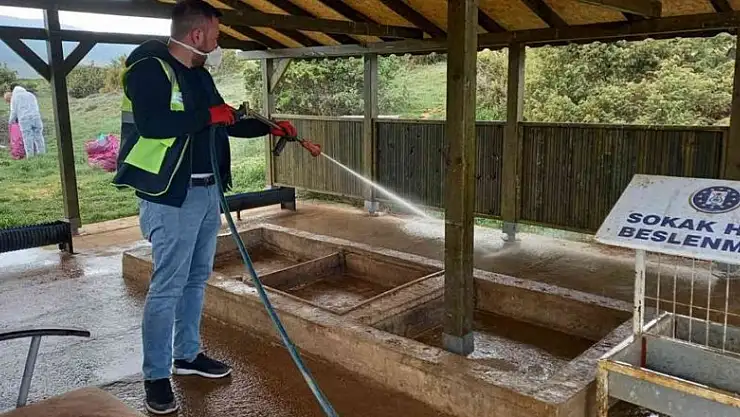 Sokak hayvanlarının beslenme noktalarını dezenfekte ediliyor