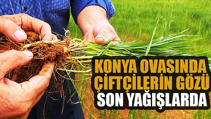 Konya Ovasında çiftçilerin gözü son yağışlarda