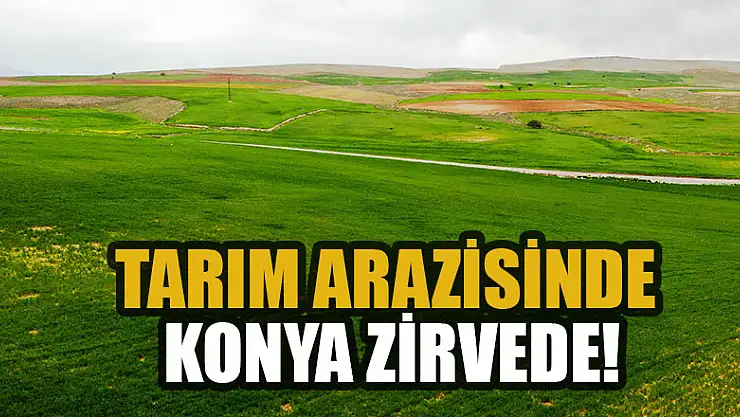 Tarım arazisinde Konya zirvede