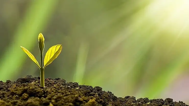 Türkiye Çevre Haftası 'Sıfır Atık' temasıyla kutlanacak