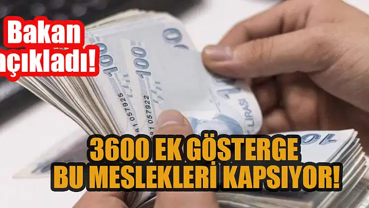 Bakan açıkladı! 3600 ek gösterge bu meslekleri kapsıyor