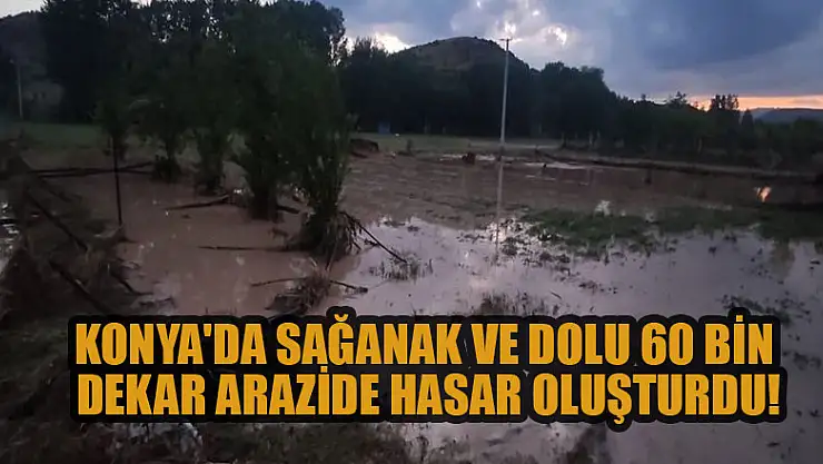 Konya'da sağanak ve dolu 60 bin dekar arazide hasar oluşturdu