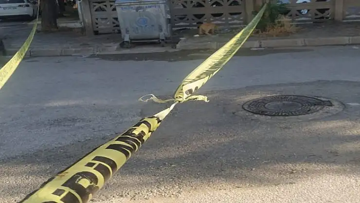 Manisa'da kan donduran olay!