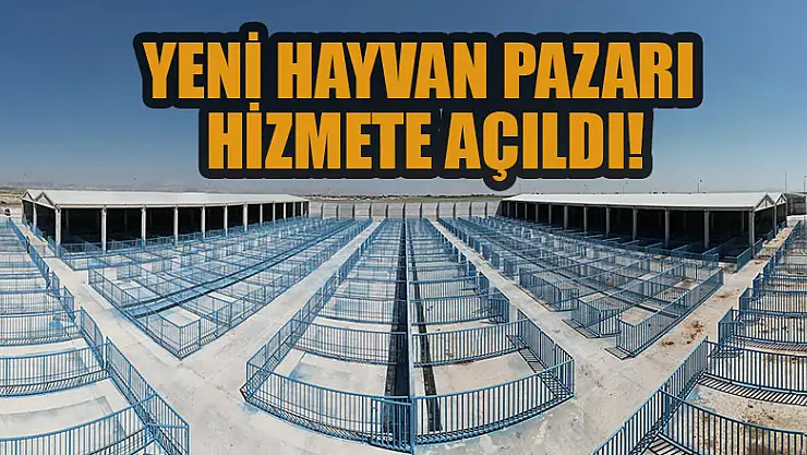 Konya'da 13 bin 500 kapasiteli yeni hayvan pazarı hizmete açıldı