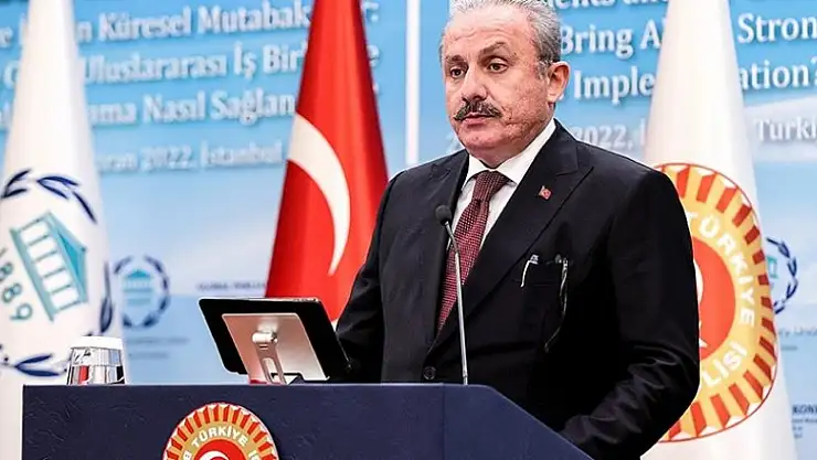 Şentop: Türkiye maalesef göç konusunda yalnız bırakıldı