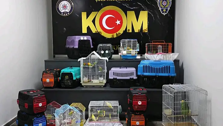 64 göçmen ve 3 göçmen kaçakçı şüphelisi yakalandı!