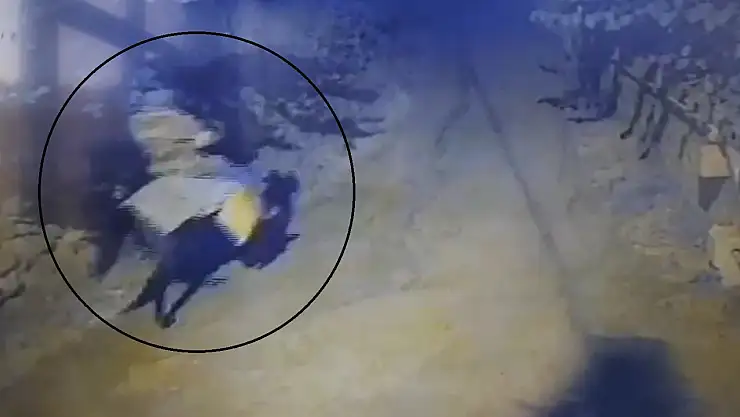 70 bin lira cinayete neden oldu! Atla geldi, yaşlı çifti öldürdü