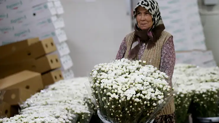 80 ülkeye çiçek gönderen Türkiye ihracatta zirveye koşuyor! 137 milyon dolarlık performans