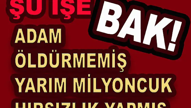 Adam öldürmemiş, yarım milyoncuk hırsızlık yapmış!