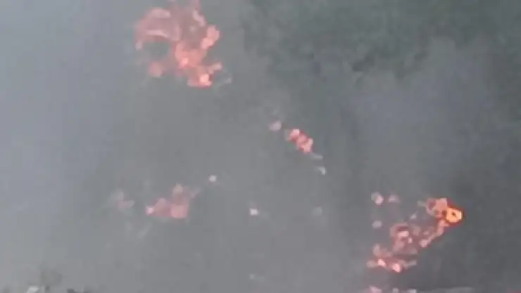 Adana'da orman yangını!