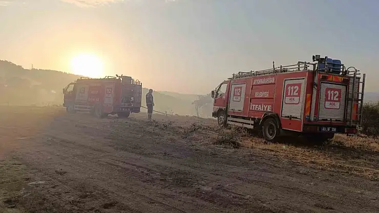 Afyonkarahisar'da ormanlık alanda yangın çıktı