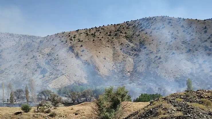 Ağaçlık alanda yangın çıktı!