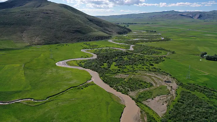 Ağrı'daki Murat Nehri, mor çiçeklerle süslendi