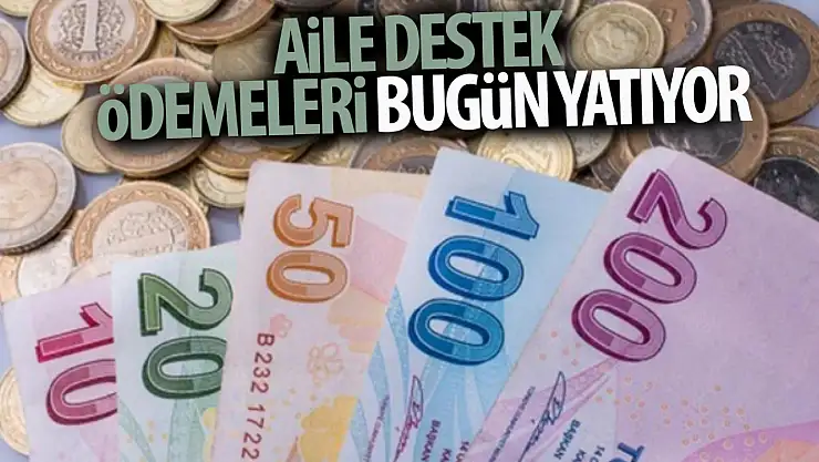 Aile destek ödemeleri bugün yatıyor