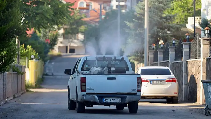 Aksaray'da haşere istilası
