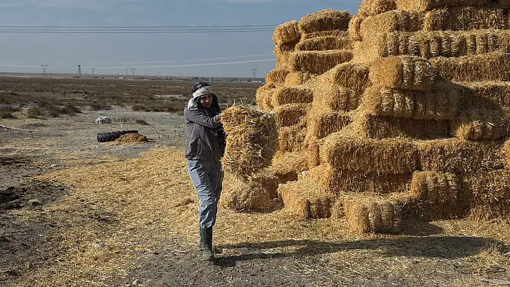 Aksaraylı genç çiftçi Ayşe tarımda ezber bozuyor