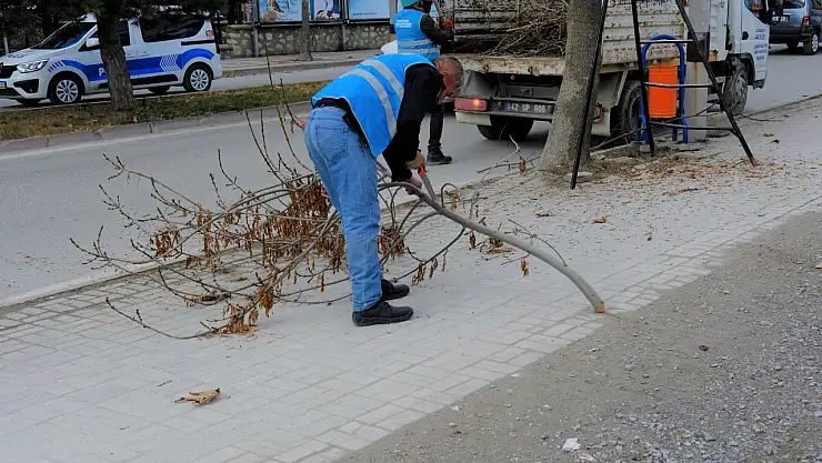 Akşehir belediyesi ağaç budama çalışmalarına başladı