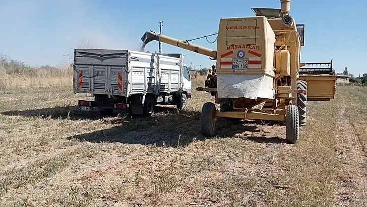 Akşehir Belediyesi atıl arazilerde tarıma başladı