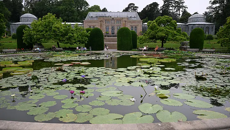 Almanya'nın Stuttgart Kentindeki Wilhelma Zoolojik Botanik Bahçesi