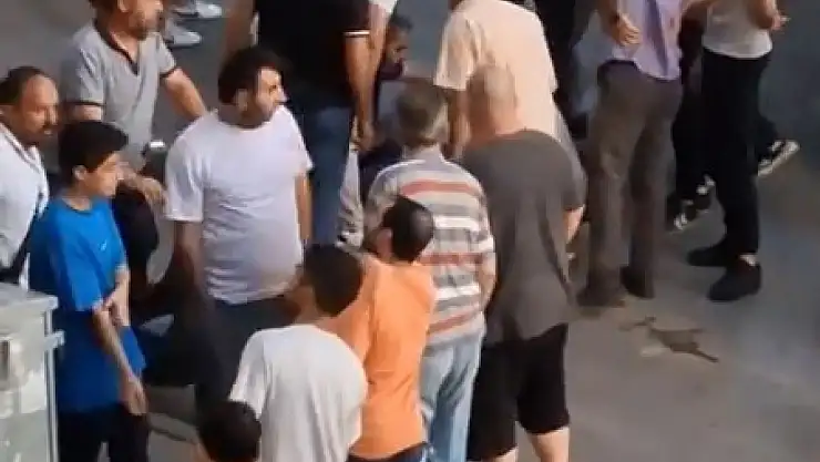 Amca ile yeğen kavgasında kanlı son