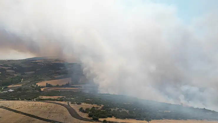 Anız yangını ormana sıçradı