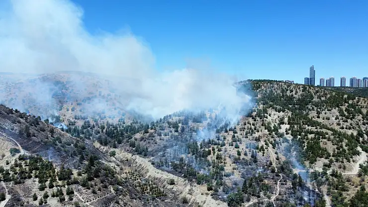 Ankara'da yangın: Eymir Gölü'nü duman kapladı!