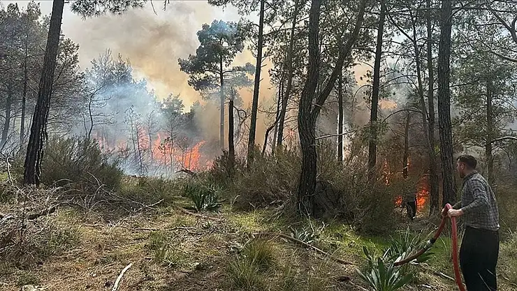 Antalya'da ormanlık alanda yangın çıktı!