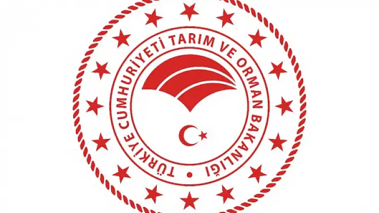 Araç kiralama hizmeti alınacak