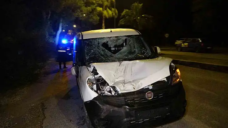 Atın çarptığı araç hurdaya döndü: Sürücünün burnu bile kanamadı!