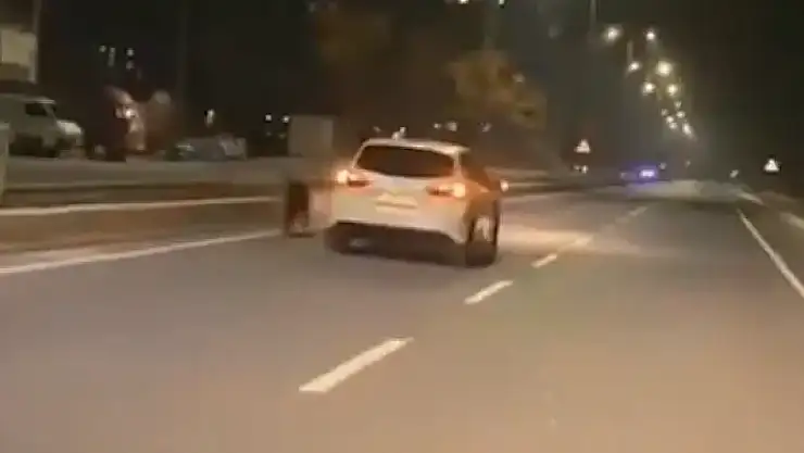 Aracının yanında köpeğini koşturdu: 7 bin 400 lira idari para cezası uygulandı