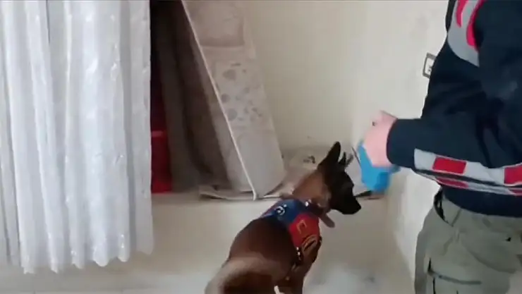 Aralarında Konya'da var! Konyalı Bakan Yerlikaya duyurdu! 48 ilde Narkogüç-38 Operasyonu!