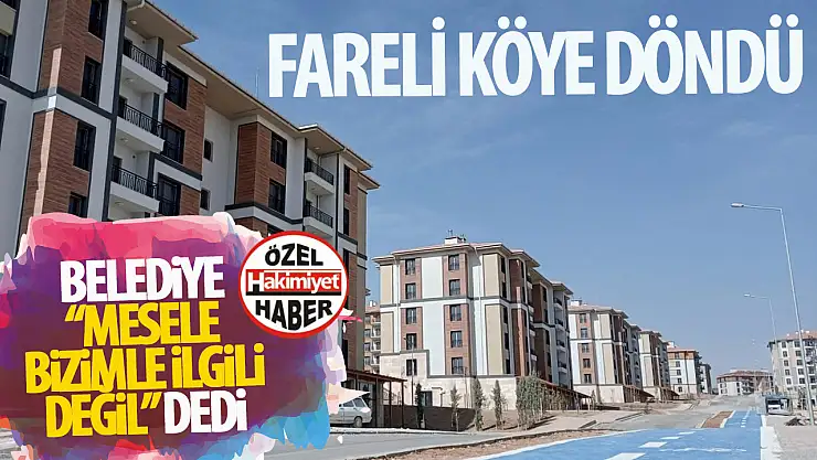Ardıçlı TOKİ Konutlarında Fare Baskını Sürüyor: Mahalle Sakinleri Çözüm Bekliyor