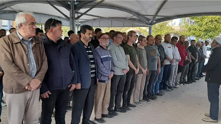 Arı ailesinin acı günü!