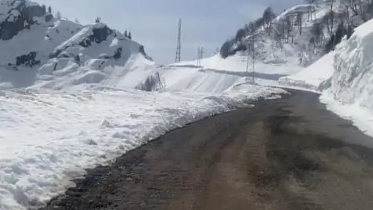 Artvin'de çığ felaketi: Çok sayıda köyün yolu kapandı!