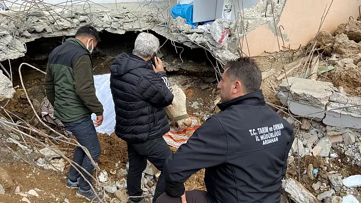 Asi 15 gün sonra sağ olarak kurtarıldı