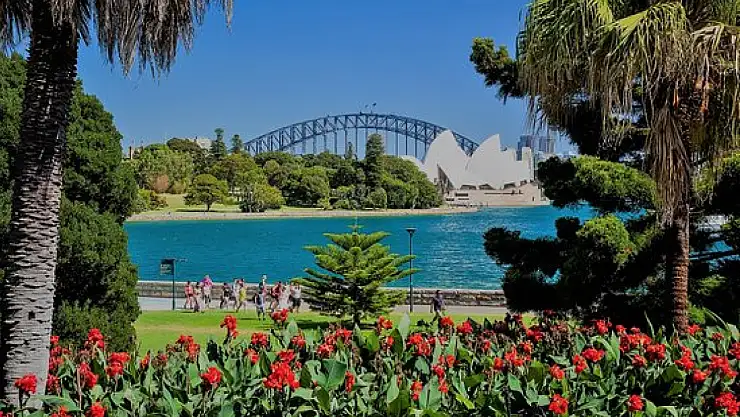 Avustralya Royal Botanik Bahçeleri: Doğanın Güzelliklerini Keşfedin