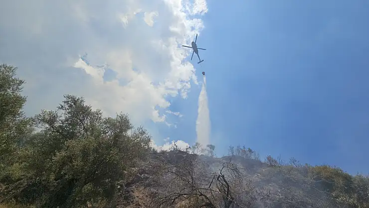 Aydın Köşk'te Ağılda Başlayan Yangın Kontrol Altına Alındı