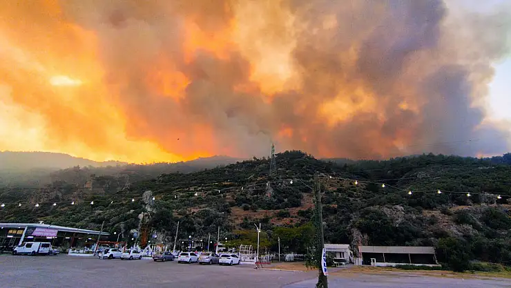 Aydın'da orman yangını: Havadan ve karadan müdahale!
