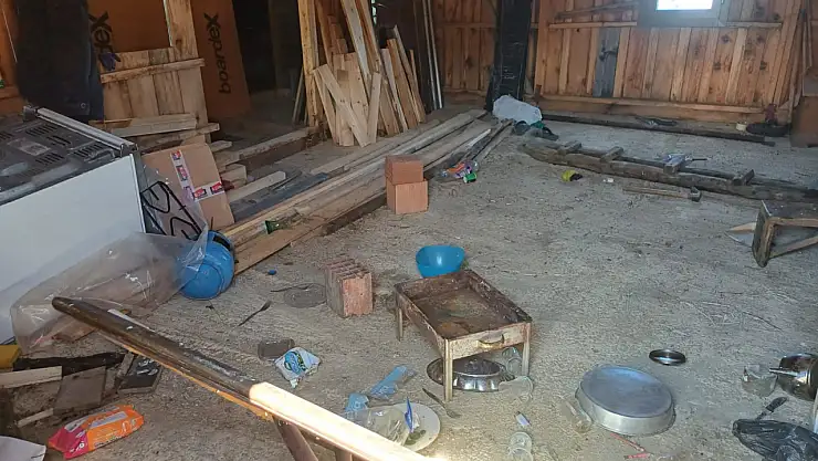 Ayılar 7 eve zarar verdi