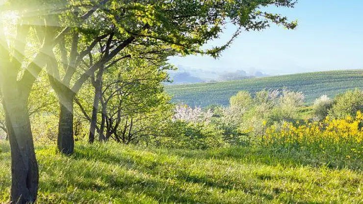 Baharı birlikte karşıladılar!