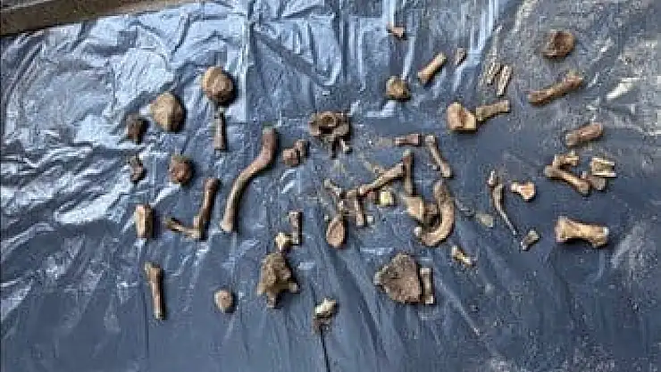 Bahçede bulunan kemikler, 4 yıl önceki cinayeti aydınlattı