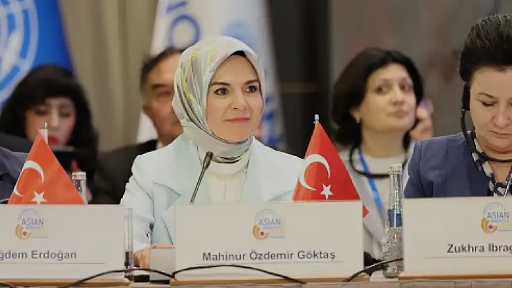 Bakan Göktaş, Almanya yolcusu